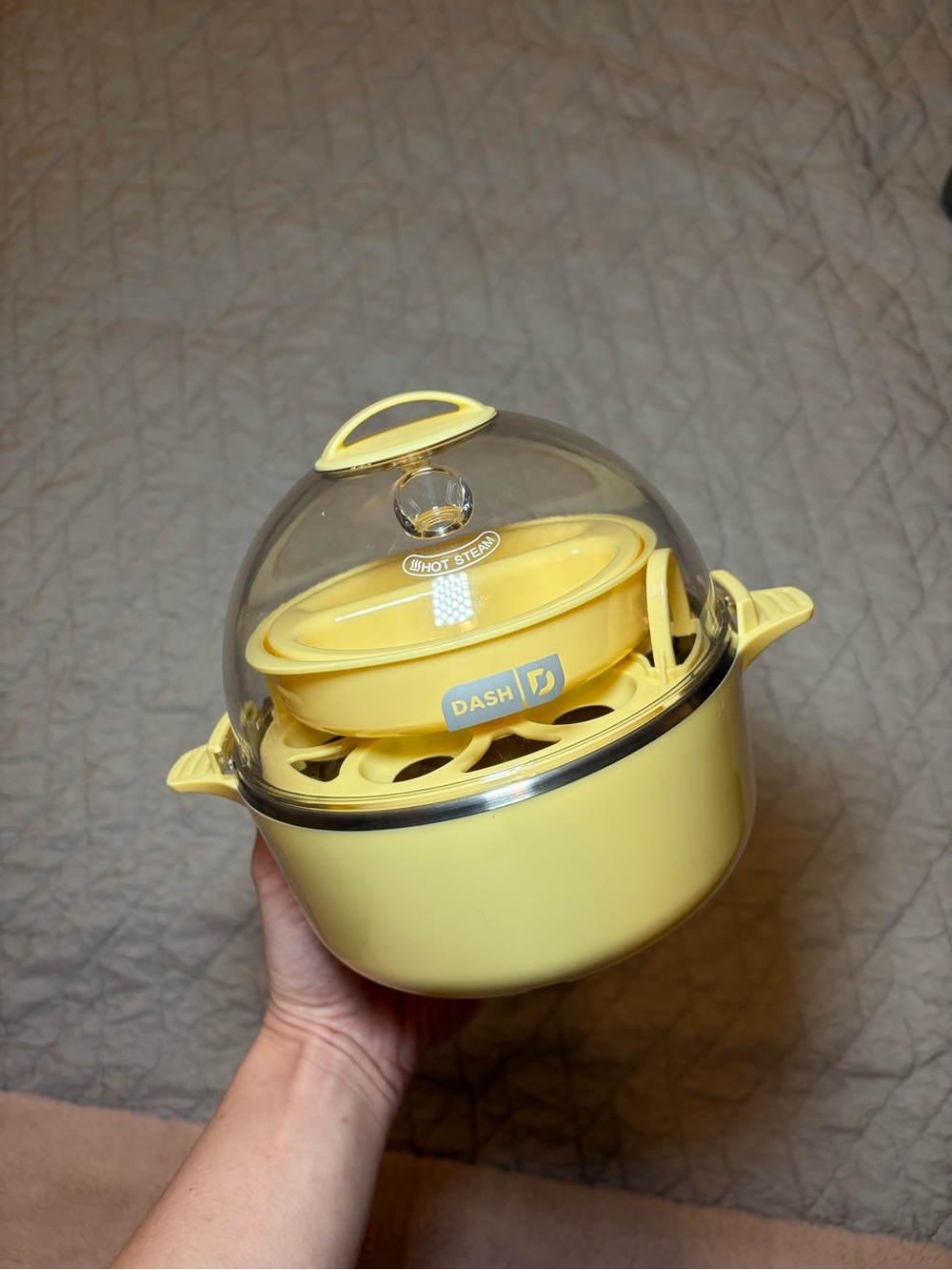 dash egg cooker
